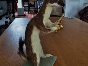 Customer Photo of Taxidermy Classes